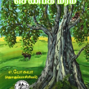 செண்பக மரம்
