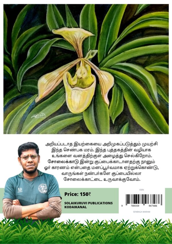 செண்பக மரம் - Image 2